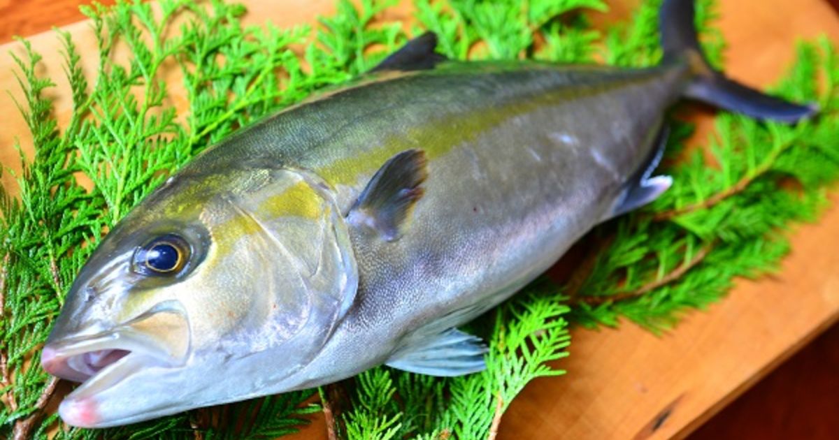 間八 かんぱち 安定した量の魚を最も新鮮な状態で国内の様々な地域へ出荷しております