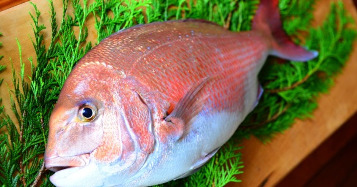 真鯛 安定した量の魚を最も新鮮な状態で国内の様々な地域へ出荷しております
